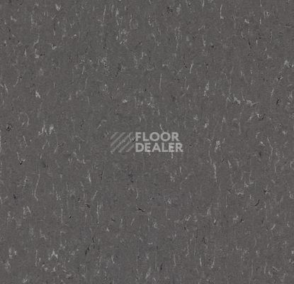 Линолеум Forbo Marmoleum Solid Piano 3607-360735 grey dusk фото 1 | FLOORDEALER